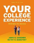 Your College Experience Strategies For Success