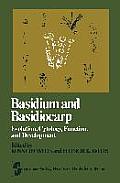 Basidium and Basidiocarp: Evolution, Cytology, Function, and Development