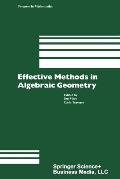 Effective Methods in Algebraic Geometry