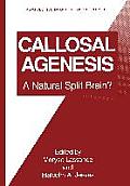 Callosal Agenesis: A Natural Split Brain?