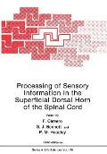 Processing of Sensory Information in the Superficial Dorsal Horn of the Spinal Cord