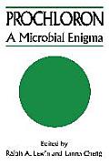 Prochloron: A Microbial Enigma