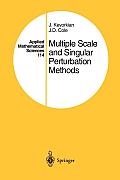 Multiple Scale and Singular Perturbation Methods