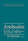 Antibodies: Structure, Synthesis, Function, and Immunologic Intervention in Disease