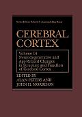 Cerebral Cortex: Neurodegenerative and Age-Related Changes in Structure and Function of Cerebral Cortex