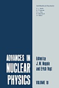 Advances in Nuclear Physics: Volume 19
