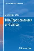 DNA Topoisomerases and Cancer