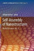 Self-Assembly of Nanostructures: The Infn Lectures, Vol. III