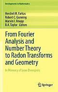 From Fourier Analysis and Number Theory to Radon Transforms and Geometry: In Memory of Leon Ehrenpreis