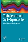 Turbulence and Self-Organization: Modeling Astrophysical Objects