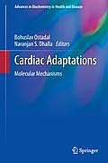 Cardiac Adaptations: Molecular Mechanisms