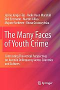 The Many Faces of Youth Crime: Contrasting Theoretical Perspectives on Juvenile Delinquency Across Countries and Cultures