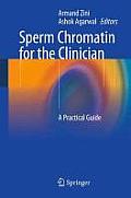 Sperm Chromatin for the Clinician: A Practical Guide