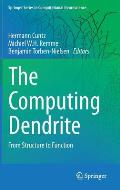 The Computing Dendrite: From Structure to Function