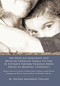 Are Mexican Immigrant and Mexican American Female Victims of Intimate Partner Violence Being Served in Memphis, Tennessee?: Support Services for Victi
