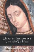 El Amor De Jes?s Vivo En La Virgen De Guadalupe