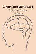 A Methodical Mental Mind: Poetry from the Soul