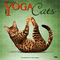 Yoga Cats 2014 18-Month Calendar