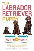 Your Labrador Retriever Puppy Month by Month 2nd Edition