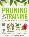 Pruning and Training, Revised New Edition: What, When, and How to Prune