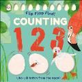 Flip Flap Find Counting 1 2 3