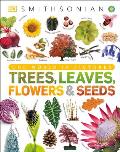 Trees Leaves Flowers & Seeds A Visual Encyclopedia of the Plant Kingdom