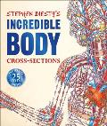 Stephen Biestys Incredible Body Cross Sections