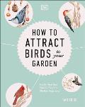 How to Attract Birds to Your Garden Foods They Like Plants They Love Shelter They Need