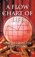 A Flow Chart of Life: How We Create Our Belief Systems