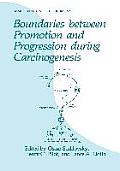 Boundaries Between Promotion and Progression During Carcinogenesis