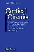 Cortical Circuits: Synaptic Organization of the Cerebral Cortex Structure, Function, and Theory