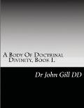 A Body Of Doctrianal Divinity Book 1