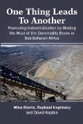 One Thing Leads to Another: Promoting Industrialisation by Making the Most of the Commodity Boom in Sub-Saharan Africa