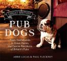 Great British Pub Dog From Dachshunds to Great Danes the Canine Residents of Britains Pubs