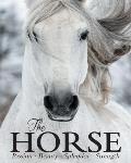 Horse Passion Beauty Splendor Strength