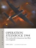 Operation Steinbock 1944: The Luftwaffe's Disastrous Last Blitz Over England