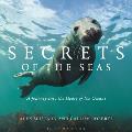 Secrets of the Seas: A Journey Into the Heart of the Oceans