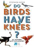 Do Birds Have Knees All Your Bird Questions Answered