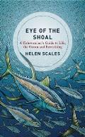 Eye of the Shoal A Fishwatchers Guide to Life the Ocean & Everything