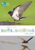 RSPB Spotlight Swifts & Swallows
