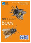 RSPB ID Spotlight Bees