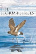 Storm-Petrels