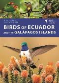 Birds of Ecuador & the Galapagos Islands