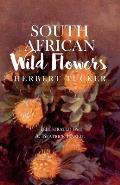 South African Wild Flowers - Illustrated by A. Beatrice Hazell