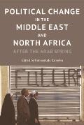 Political Change in the Middle East and North Africa: After the Arab Spring