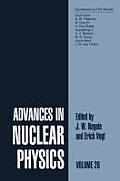 Advances in Nuclear Physics: Volume 26