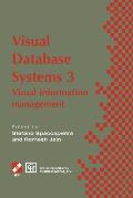 Visual Database Systems 3: Visual Information Management