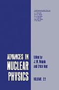 Advances in Nuclear Physics: Volume 22