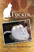 Tucker, the too lovable cat