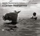 Andy Summers A Certain Strangeness